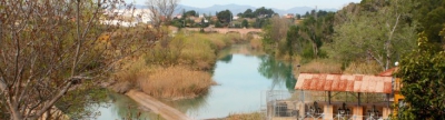 Almassora determinarà el model de gestió del parc d'aventura de Santa Quitèria abans de construir-lo