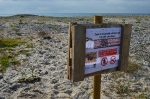 Consorcio río Mijares instala carteles para informar de la cría del chorlitejo chico en la desembocadura