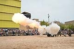 Exhibició de la Guàrdia Reial