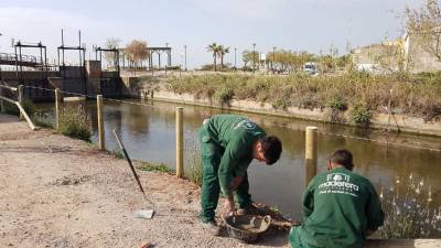 Costas inicia las reparaciones del Passeig de la Mar de La Llosa
