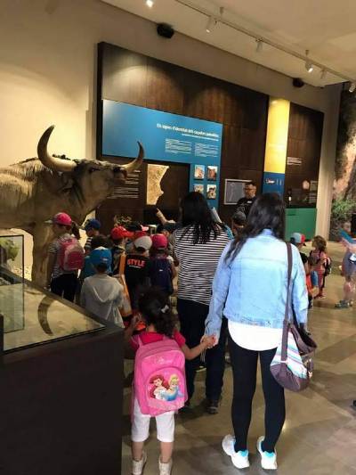 La Valltorta celebra amb els més menuts el Dia dels Museus