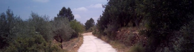 La brigada municipal treballa en el manteniment i millora de camins rurals