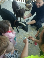 La granja móbil del Tio Miguel visita l'escola infantil municipal d'Almenara