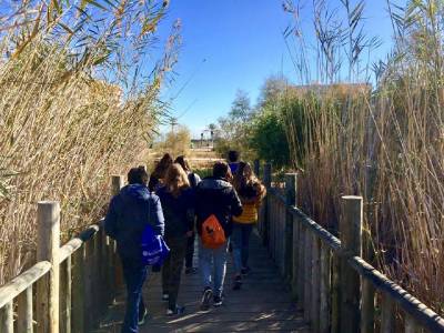 Torreblanca finaliza las actividades ambientales escolares en el Prat con la participación de 1.200 alumnos
