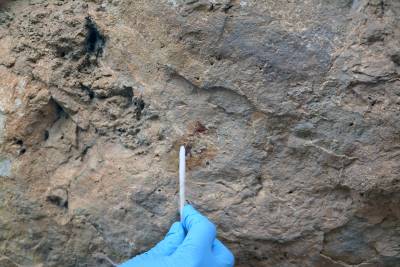 Morella la Vella ha obert les portes a la restauració de les pintures rupestres de la cova del Roure