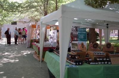 El atractivo turístico de los pueblos y paisajes del Alto Palancia presentes en la IV Feria Empresarial