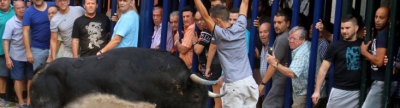 Burriana exhibirá 3 toros más en la Misericòrdia