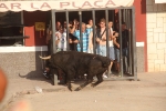 Expectación con el toro del día de Sant Jaume