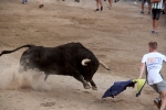 Expectación con el toro del día de Sant Jaume