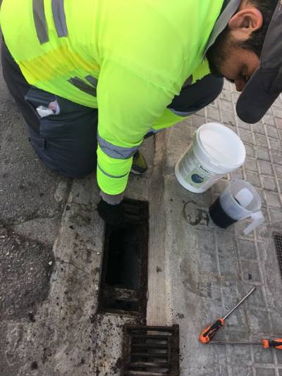La Llosa sigue controlando el mosquito tigre