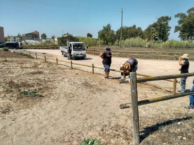 Protección dunar en La Llosa