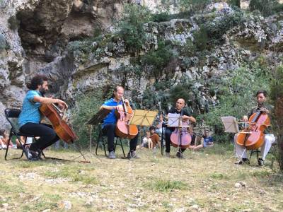 Èxit del V Festival de Música 775 de Vilafranca