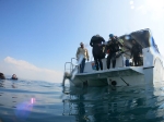 Un grup de bussejadors estudia la qualitat del fons marí deTorrenostra i conclou amb resultats positius
