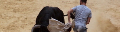 Sant Roc està de festa