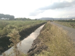 Almenara neteja les sèquies i eixides naturals de l'aigua davant el risc de pluges fortes