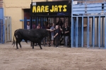 La penya taurina 'Aficionades la bou' patrocina el bou del dimarts de festes