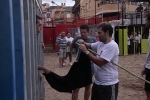 La penya taurina 'Aficionades la bou' patrocina el bou del dimarts de festes