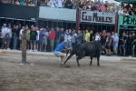 Els bous de les penyes protagonistes en les festes d'Almenara