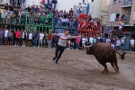 Nules inicia les exhibicions taurines de la Soledad