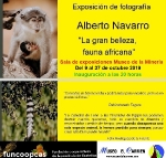 Exposición Alberto Navarro en Artana