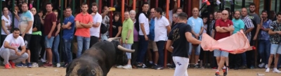 Les Alqueries possa el punt i final a les exhibicions taurines de les festes patronals