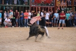 Les Alqueries possa el punt i final a les exhibicions taurines de les festes patronals