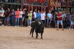 Les Alqueries possa el punt i final a les exhibicions taurines de les festes patronals