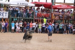 Les Alqueries possa el punt i final a les exhibicions taurines de les festes patronals