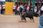 Les Alqueries possa el punt i final a les exhibicions taurines de les festes patronals