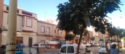 el-ayuntamiento-de-la-vall-d-uixo-realiza-tratamientos-contra-la-cochinilla-y-la-procesionaria-en-los-arboles