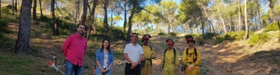 Oropesa del Mar 'limpia' seis hectáreas de zona forestal como medida de prevención de incendios