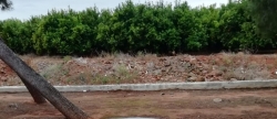 el-ayuntamiento-de-nules-denuncia-nuevos-actos-vandalicos-en-els-cuatre-camins