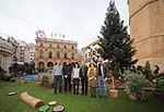 Sis jardins efímers i sostenibles per a la decoració nadalenca de Castelló