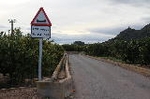 La Llosa asfalta el barranc Talavera-Camí Almenara