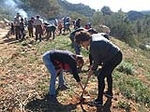 Día del árbol en Argelíta