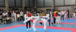 cerca-de-mil-participantes-en-el-xix-open-internacional-de-taekwondo-ciudad-de-la-ceramica-de-alcora