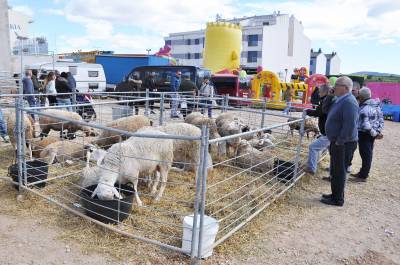 Vall d’Alba reivindica con ‘La Fira’ la importancia de la agricultura y la ganadería en la economía local