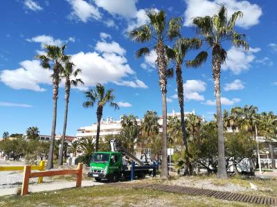 Finalizados los trabajos de acondicionamiento de la playa en Moncofa