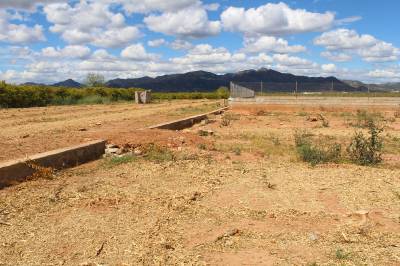 Nules far excavacions noves a la villa romana del Benicat