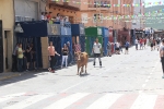 Gran éxito de las Primeras Fiestas del Barrio de la Calle San Salvador y Adyacentes de Alcora