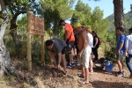 El Ayuntamiento de la Vall d?Uixó instala paneles para mantener limpias las sendas 