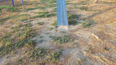 El Parque Canino de Segorbe reabre tras labores de limpieza
