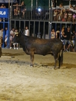 Luciano Ferrer participa en las fiestas de San Agustín y San Marcos