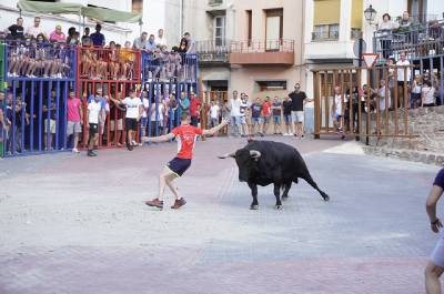 Las actividades taurinas, protagonistas en las fiestas de Vilafams 