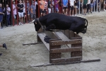 Pirotècnia i espectacles taurins per a despedir les festes patronals de Vilafamés