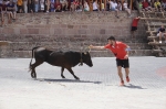 Pirotècnia i espectacles taurins per a despedir les festes patronals de Vilafamés