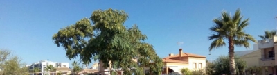 L'eixida amb bici tancarà dijous l'estiu esportiu d'Almenara
