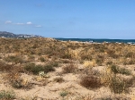 La platja del Serradal obté la declaració de microreserva per a protegir l'únic sistema dunar de Castelló