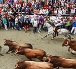 Leve incidente en la cuarta Entrada de Toros y Caballos de Segorbe 