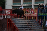 Les vaques de Miguel Parejo, a Festa La Vila 2019